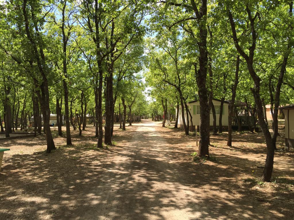 Domaine Les Chenes Blancs Hotel แซงต์-ซาตูร์แน็ง-ดัปต์ ภายนอก รูปภาพ