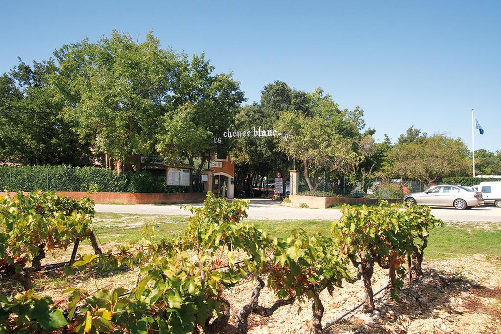 Domaine Les Chenes Blancs Hotel แซงต์-ซาตูร์แน็ง-ดัปต์ ภายนอก รูปภาพ